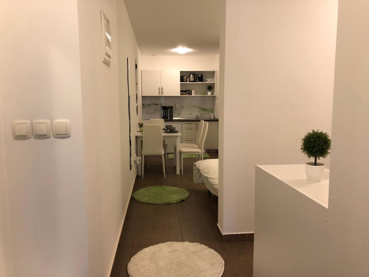 Modern Center Studio Under The Castle II Free Parking Apartment Ljubljana Luaran gambar